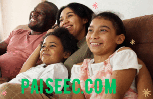 Paiseec.com logo